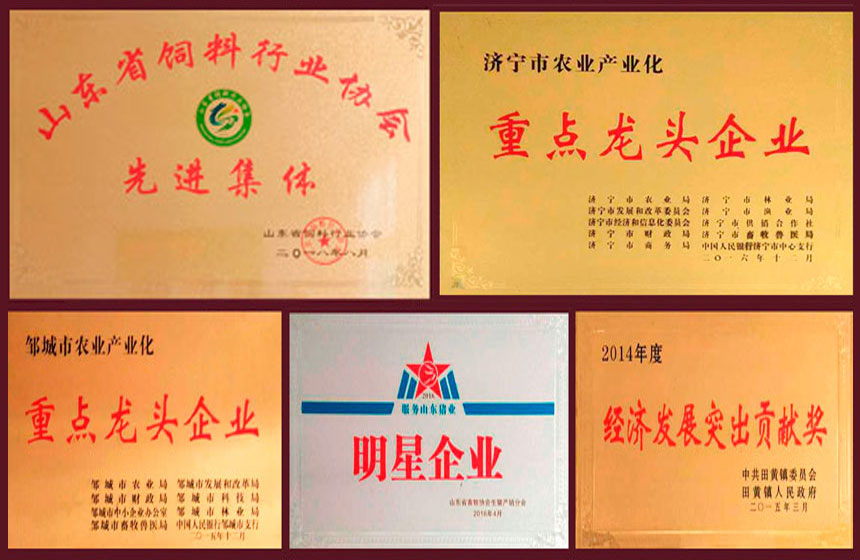 山东圣地山牧业有限公司