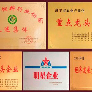 山东圣地山牧业有限公司